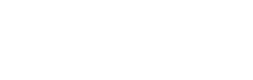 digital web canvas white